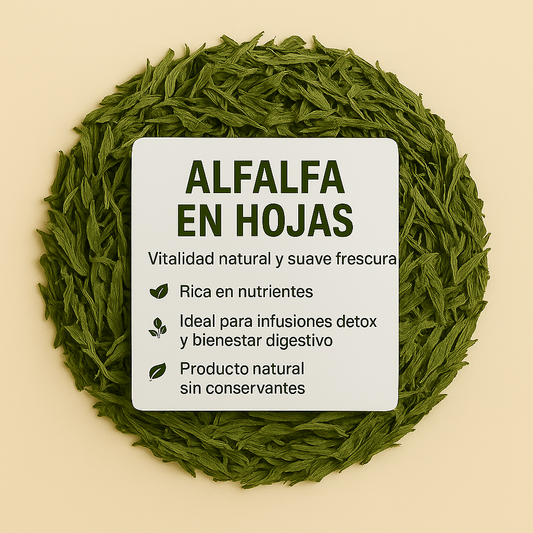 Alfalfa en Hojas